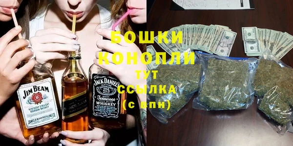 гашик Белокуриха