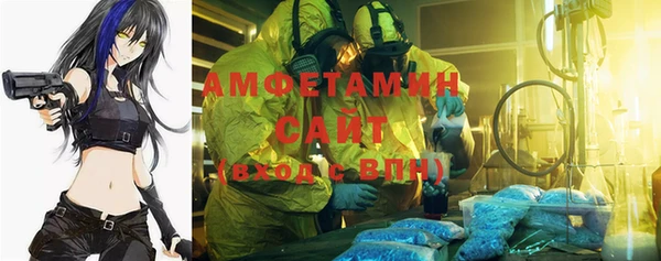 гашик Белокуриха