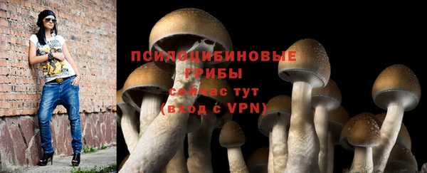 мяу мяу мука Белоозёрский