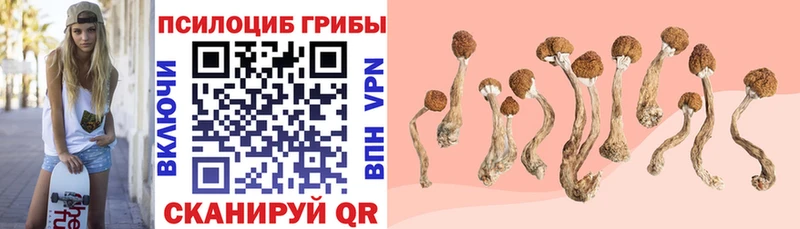 Галлюциногенные грибы Psilocybine cubensis  MEGA рабочий сайт  Оха 